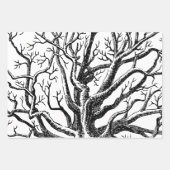Abstracte Rustic Black & White Tree Branches Inpakpapier Vel (Voorkant 2)
