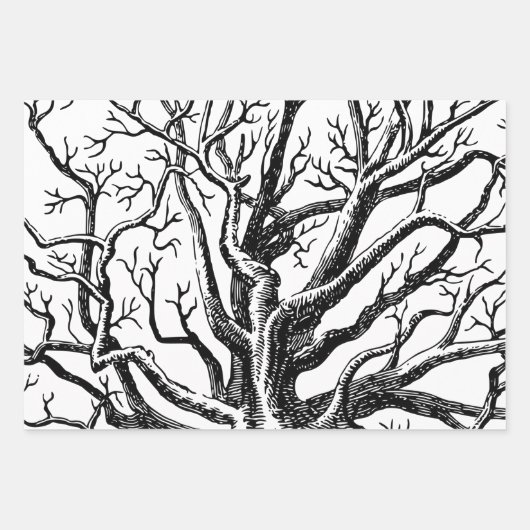 Abstracte Rustic Black & White Tree Branches Inpakpapier Vel (Voorkant 2)