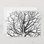 Abstracte Rustic Black & White Tree Branches Notitiekaartje (Achterkant)
