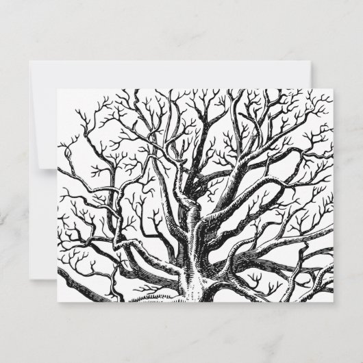 Abstracte Rustic Black & White Tree Branches Notitiekaartje (Achterkant)