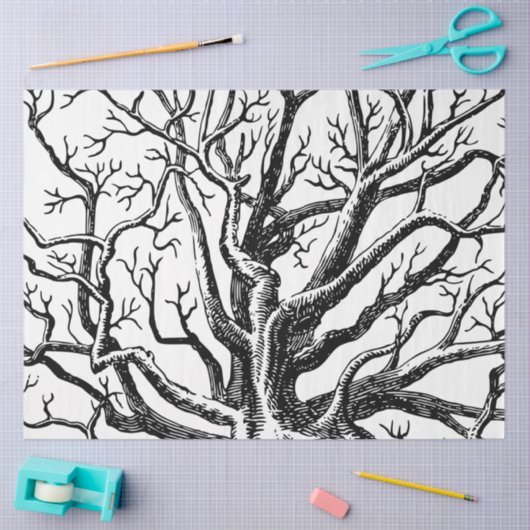 Abstracte Rustic Black & White Tree Branches Tissuepapier (Craft)