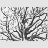 Abstracte Rustic Black & White Tree Branches Tissuepapier (Voorkant)