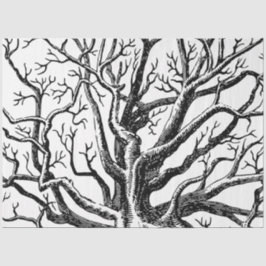 Abstracte Rustic Black & White Tree Branches Tissuepapier