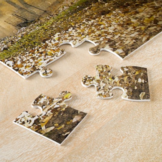 Abstracte scène . Central Park New York. Legpuzzel (Zijkant)