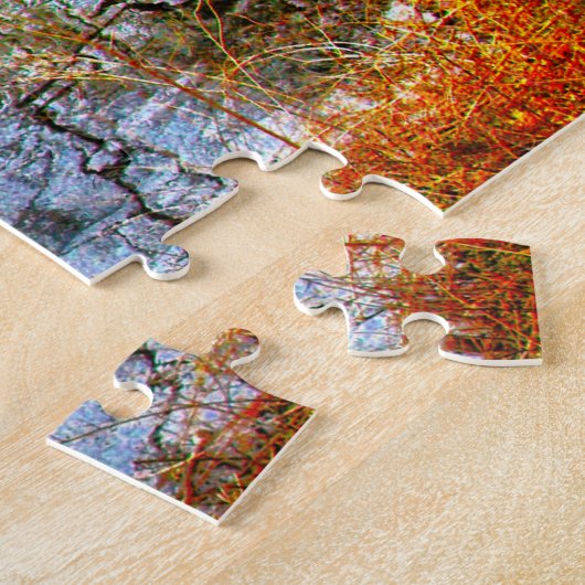 Abstracte scène . Central Park New York. Legpuzzel (Zijkant)