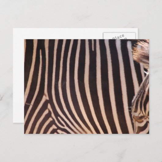 Abstracte strepen Briefkaart (Voorkant / Achterkant)
