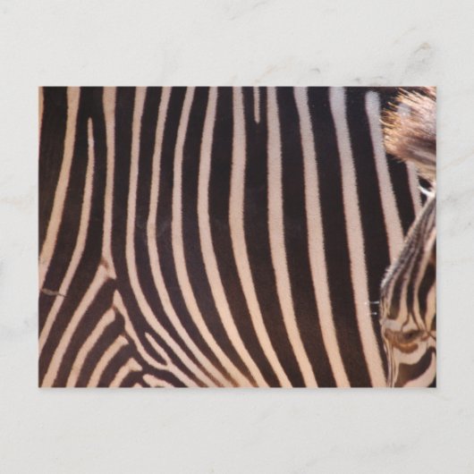 Abstracte strepen Briefkaart (Voorkant)