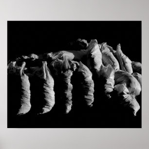 Abstracte textuur zwarte witte zakken Kunstfoto Poster