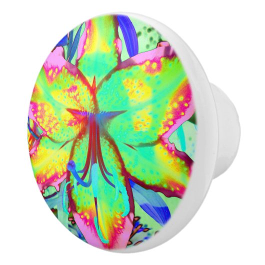 Abstracte tropische bloemenroze groene lelie keramische knop (Rechts)