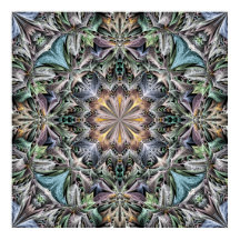 Abstracte veelkleurige vetplant rozet