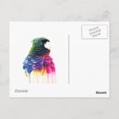 Abstracte verf van papegaaivogels briefkaart (Achterkant)