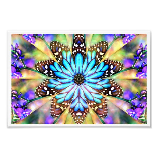 Abstracte vlinderventiel foto afdruk (Voorkant)