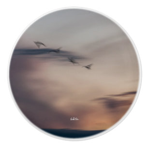 abstracte vogel foto deurkruk keramische knop