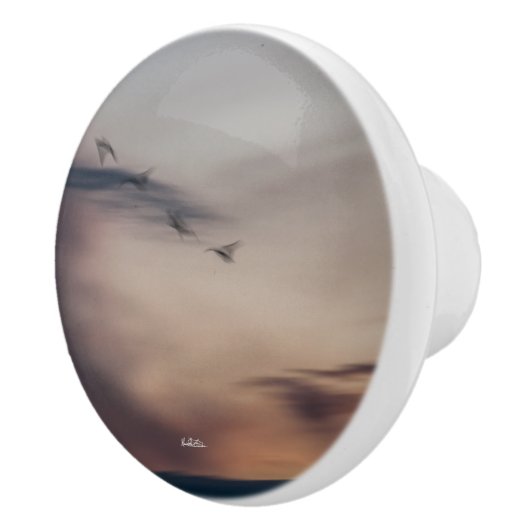 abstracte vogel foto deurkruk keramische knop (Rechts)