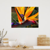 Abstracte vogel van het Paradijs Poster (Keuken)