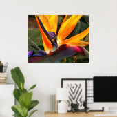 Abstracte vogel van het Paradijs Poster (Thuiskantoor)