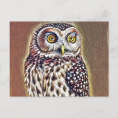 Abstracte Wilderness Forest Owl Art Briefkaart (Voorkant)