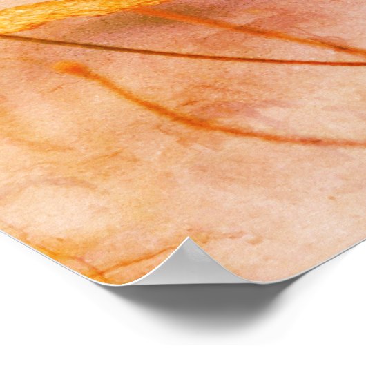 Abstracte winterblauwvogel poster (Hoek)