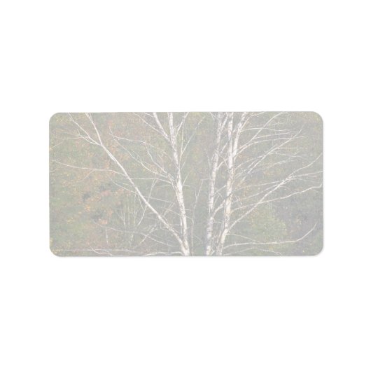 Abstracte Witte berkenboom aan de rand van een har Etiket (Voorkant)