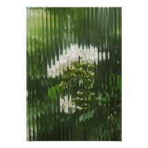Abstracte witte bloemen door geribd glas