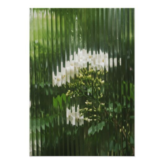 Abstracte witte bloemen door geribd glas Foto Afdruk (Voorkant)
