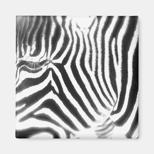 Abstracte Zebra magneet (Voorkant)