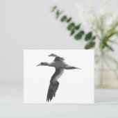 Abstracte Zeeen vogels Briefkaart (Staand voorkant)