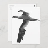 Abstracte Zeeen vogels Briefkaart (Voorkant / Achterkant)