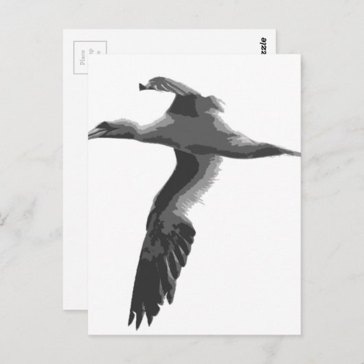 Abstracte Zeeen vogels Briefkaart (Voorkant / Achterkant)