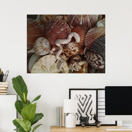 Abstracte zeeschelpen poster (Thuiskantoor)