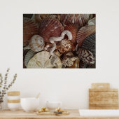 Abstracte zeeschelpen poster (Keuken)