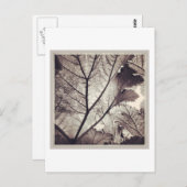 Abstracte zwarte en witte bladeren briefkaart (Voorkant / Achterkant)