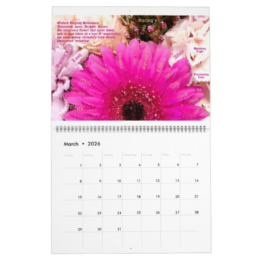 Abstracts 2025 Kalender - MultiMediaSusan (Mar 2026)