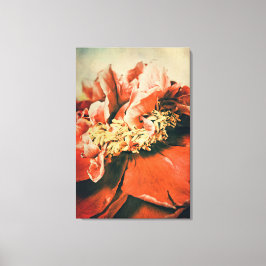 Abstrakte Pfingstrose Canvas Afdruk