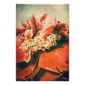 Abstrakte Pfingstrose Foto Afdruk (Voorkant)