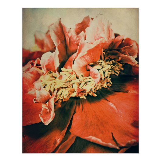 Abstrakte Pfingstrose Perfect Poster (Voorkant)