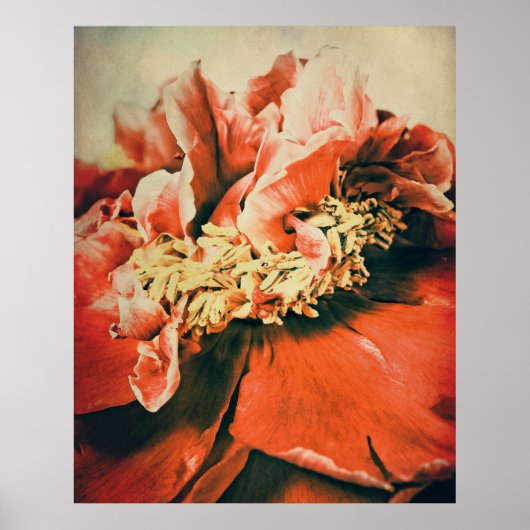 Abstrakte Pfingstrose Poster (Voorkant)