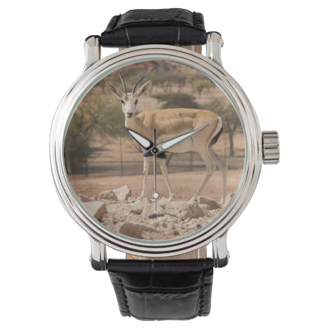 Abu Dhabi Horloge (Voorkant)