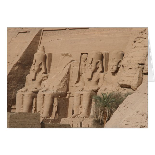 abu simbel palm (Voorkant Horizontaal)