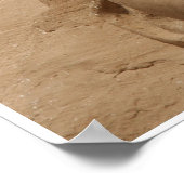 abu simbel poster (Hoek)