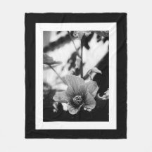 Abutilon Pictum Black en White Floral