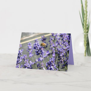 Abuzz met het Wenskaart van de Lavendel Kaart