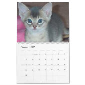 Aby Kittens Kattenkalender Kalender (Feb 2027)
