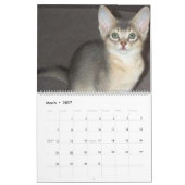 Aby Kittens Kattenkalender Kalender (Mar 2027)