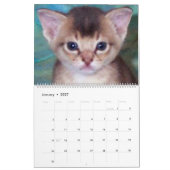Aby Kittens Kattenkalender Kalender (Jan 2027)