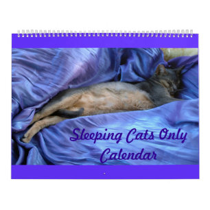 Abyssans Slaapende Kattenkalender Kalender