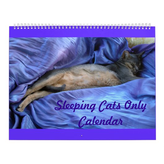 Abyssans Slaapende Kattenkalender Kalender (Hoes)