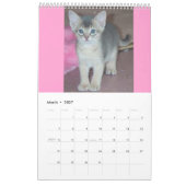 Abyssian Cats Calendar Kalender (Mar 2027)