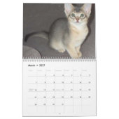 Abyssian Cats Calendar Kalender (Mar 2027)