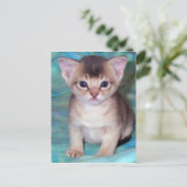 Abyssian Kitten Baby Cat Briefkaarten (Staand voorkant)